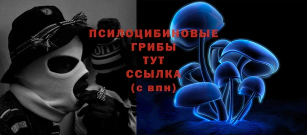 винт Осинники
