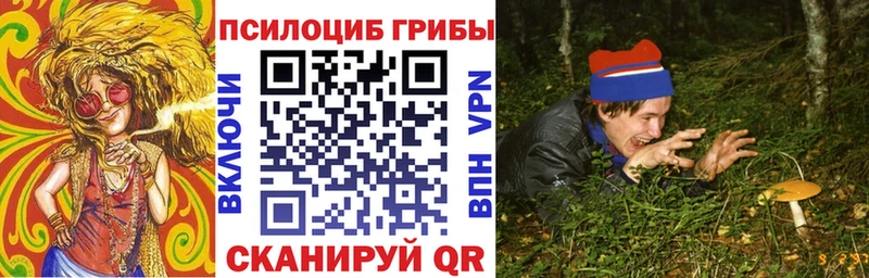 Купить где  Кадников  Галлюциногенные грибы ЛСД 